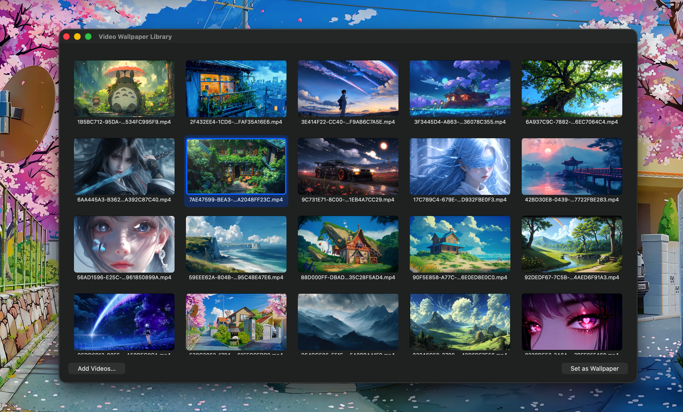 Video Wallpaper media 1
